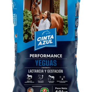 CINTA AZUL YEGUAS