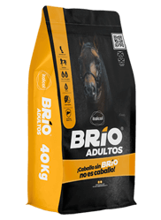BRIO ADULTOS