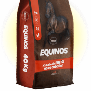 EQUINOS