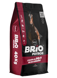 BRIO POTROS