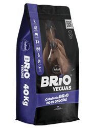 BRIO YEGUAS