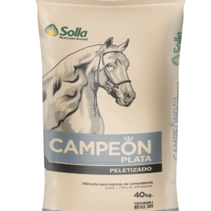 CAMPEON PLATA