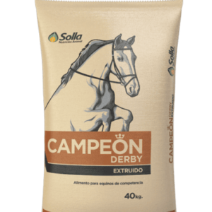 CAMPEON DERBY