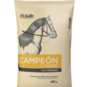 CAMPEON DORADO