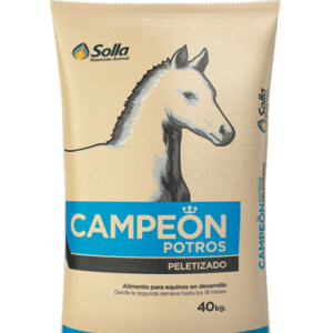 CAMPEON POTROS