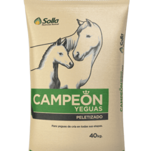 CAMPEON YEGUAS